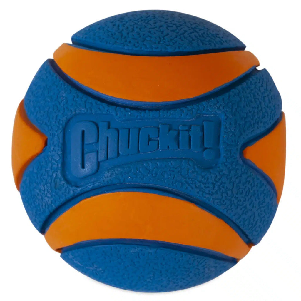 Chuckit Ultra Squeaker Ball Dog Toy