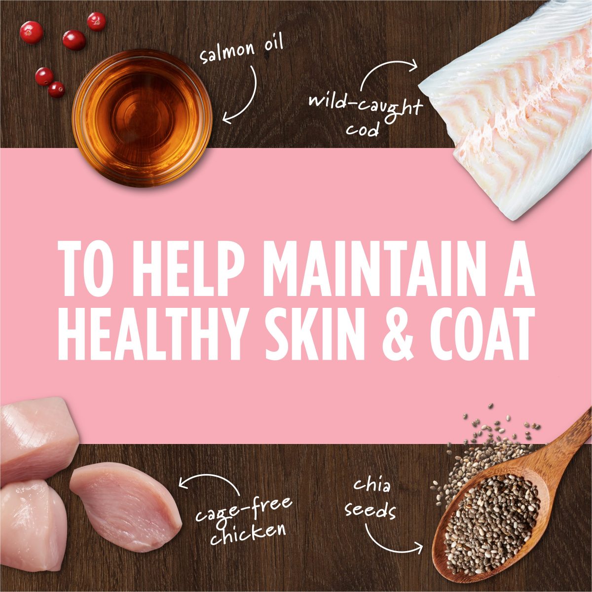 Instinct Dog Freeze-Dried Raw Boost Mixers Skin & Coat Recipe