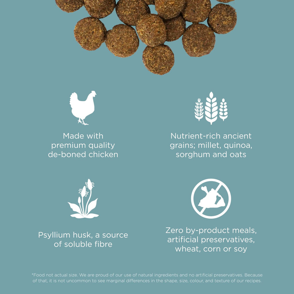 Go! Solutions Digestion & Gut Health Dog Chicken Recipe with Ancient Grains (1.59kg)