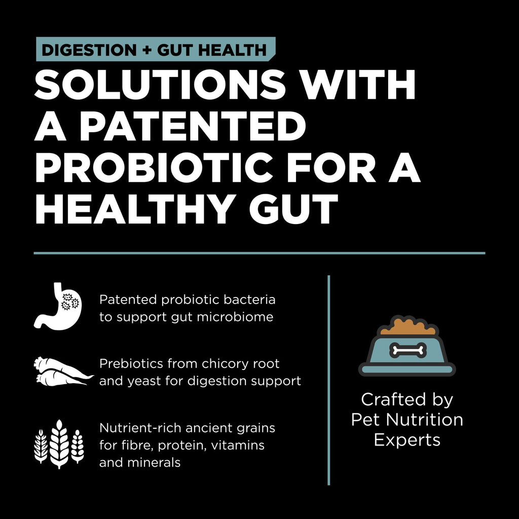 Go! Solutions Digestion & Gut Health Dog Chicken Recipe with Ancient Grains (1.59kg)