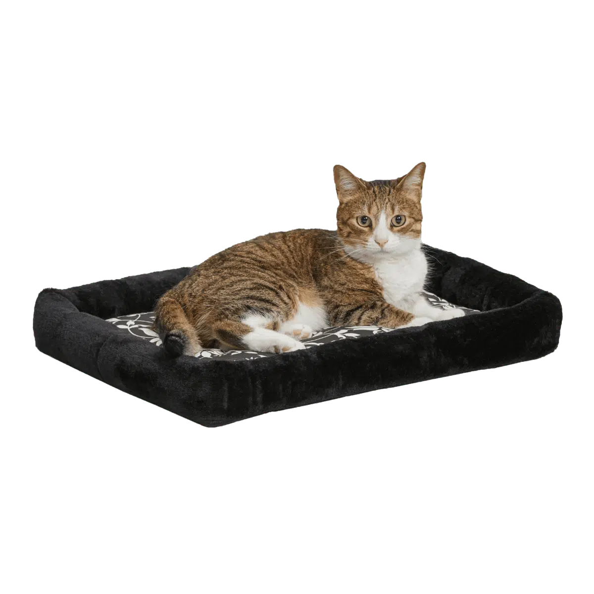 Quiet Time Sofia Bolster Black Floral Crate Pad