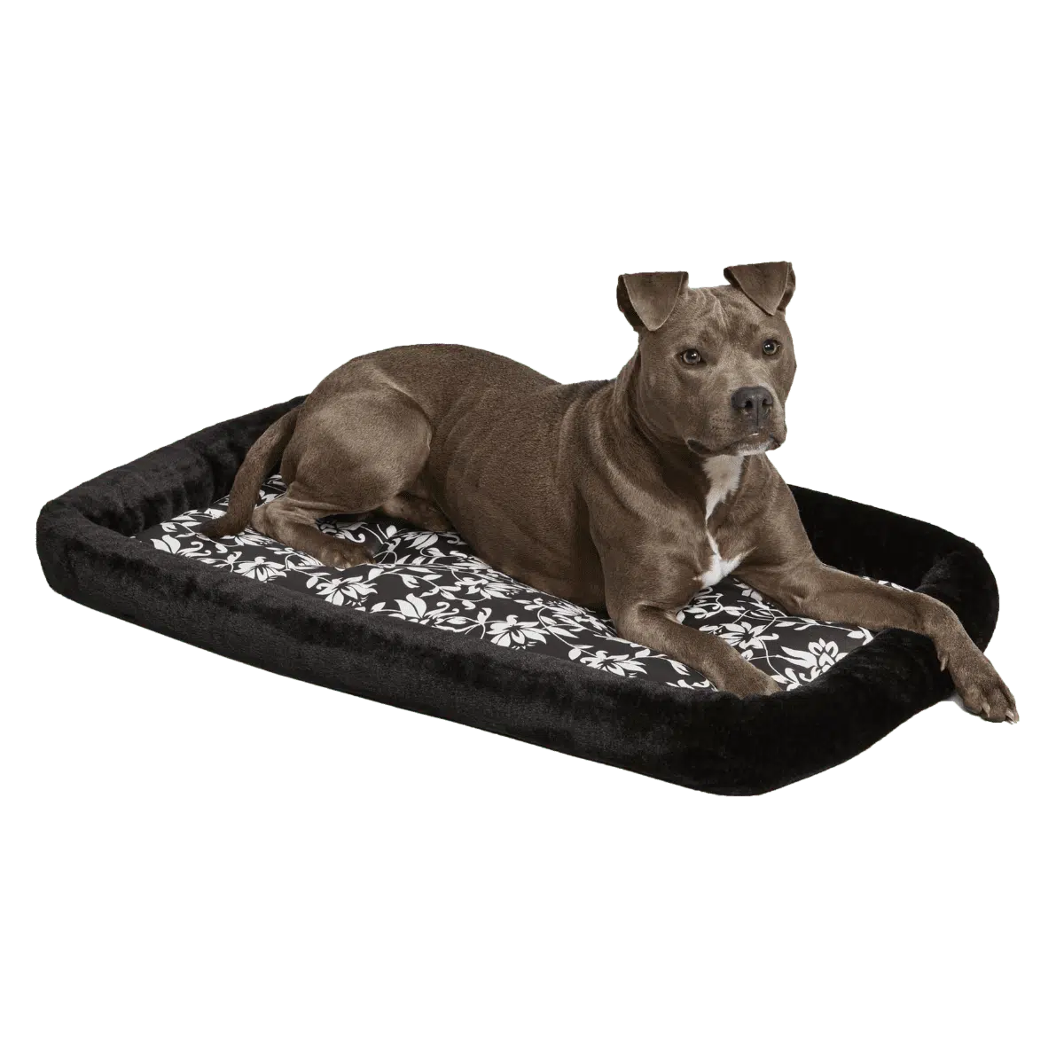 Quiet Time Sofia Bolster Black Floral Crate Pad